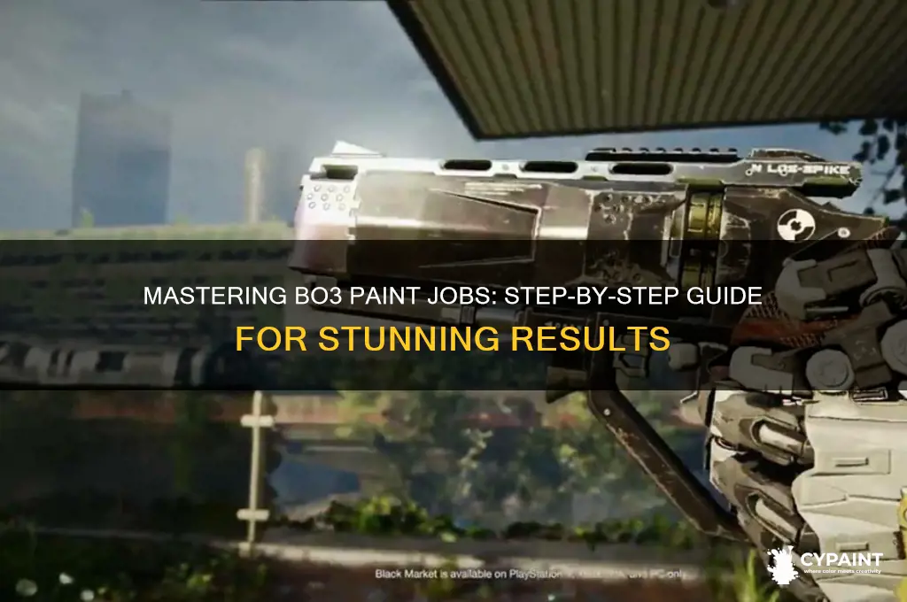 how to do a paint job on bo3
