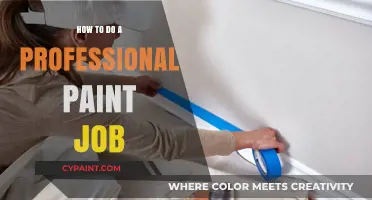 Mastering Professional Paint Jobs: Techniques, Tools, and Tips for Flawless Results