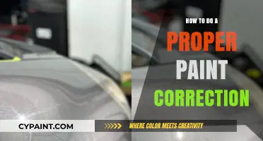 Mastering Paint Correction: A Step-by-Step Guide to Flawless Results