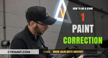 Mastering Stage 1 Paint Correction: A Step-by-Step Guide