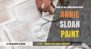 Whitewashing with Annie Sloan Paint: A Simple Guide