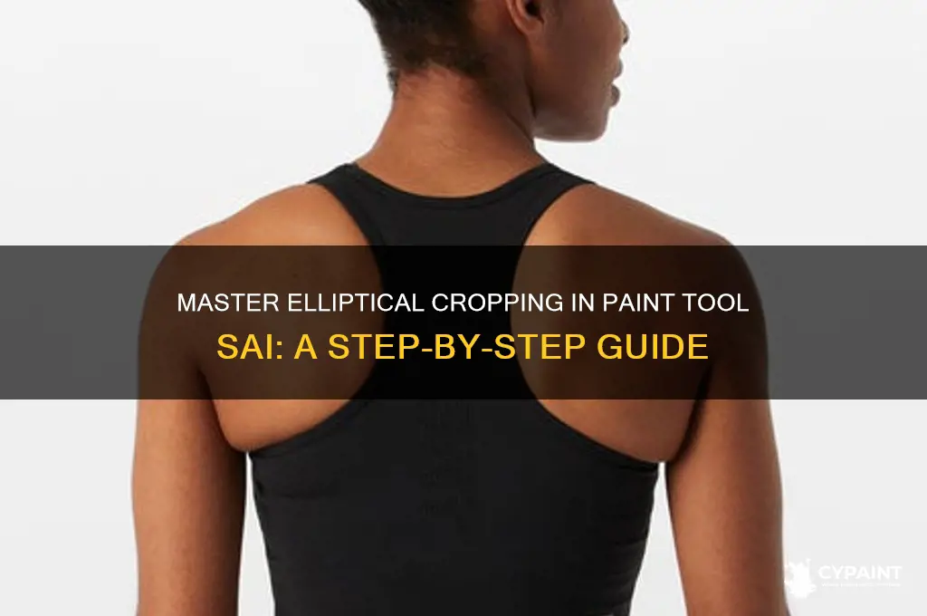 how to do an elliptical crop in paint tool sai