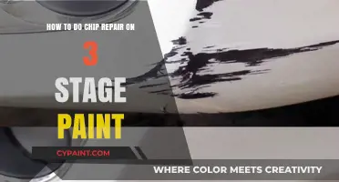 Quick Guide: Repairing Chips in 3-Stage Car Paint