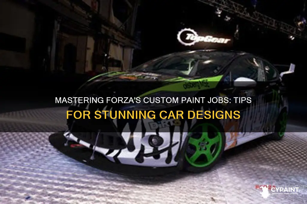 how to do cool paints in forza