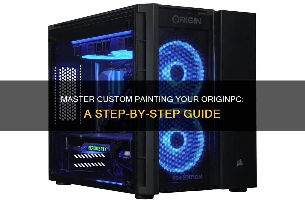 how to do custom paint on originpc