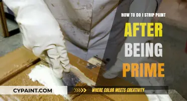 Stripping Paint: Post-Priming Process