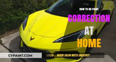 Mastering Paint Correction: A Step-by-Step Guide for DIY Enthusiasts