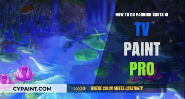Mastering Panning Shots in TV Paint Pro