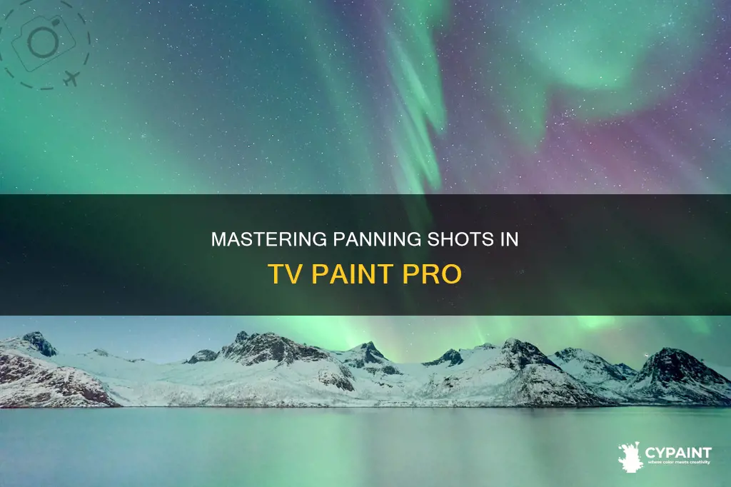 how to do panning shots in tv paint pro