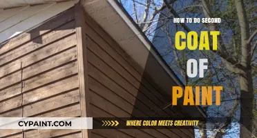 Mastering the Second Coat: Tips for a Flawless Paint Finish