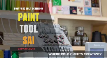 Paint Tool Sai: Split-Screen Mastery