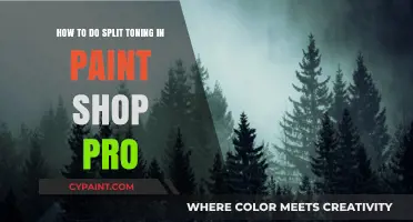 Split Toning Mastery in Paint Shop Pro
