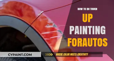 Master Auto Touch-Up Painting: Easy DIY Tips for Flawless Results