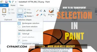Mastering Transparent Selection Techniques in Paint for Seamless Editing