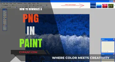 Simple Steps to Resize PNG Images Using Paint for Beginners