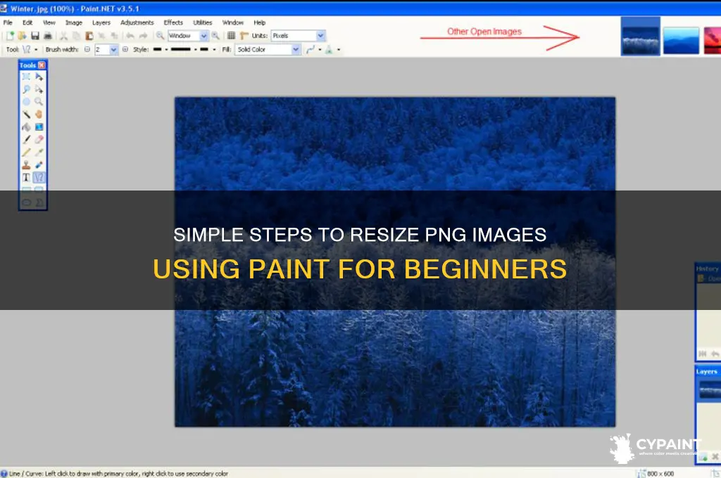 how to downsize a png in paint