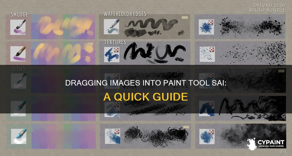 how to drag a image into paint tool sai