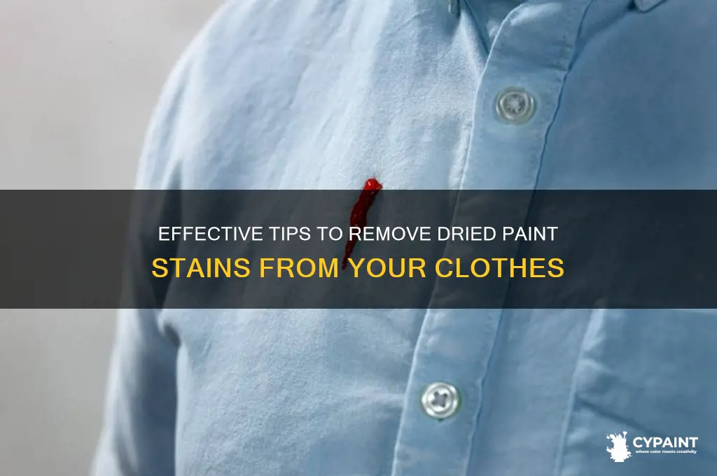 how to dried paint out of clothes