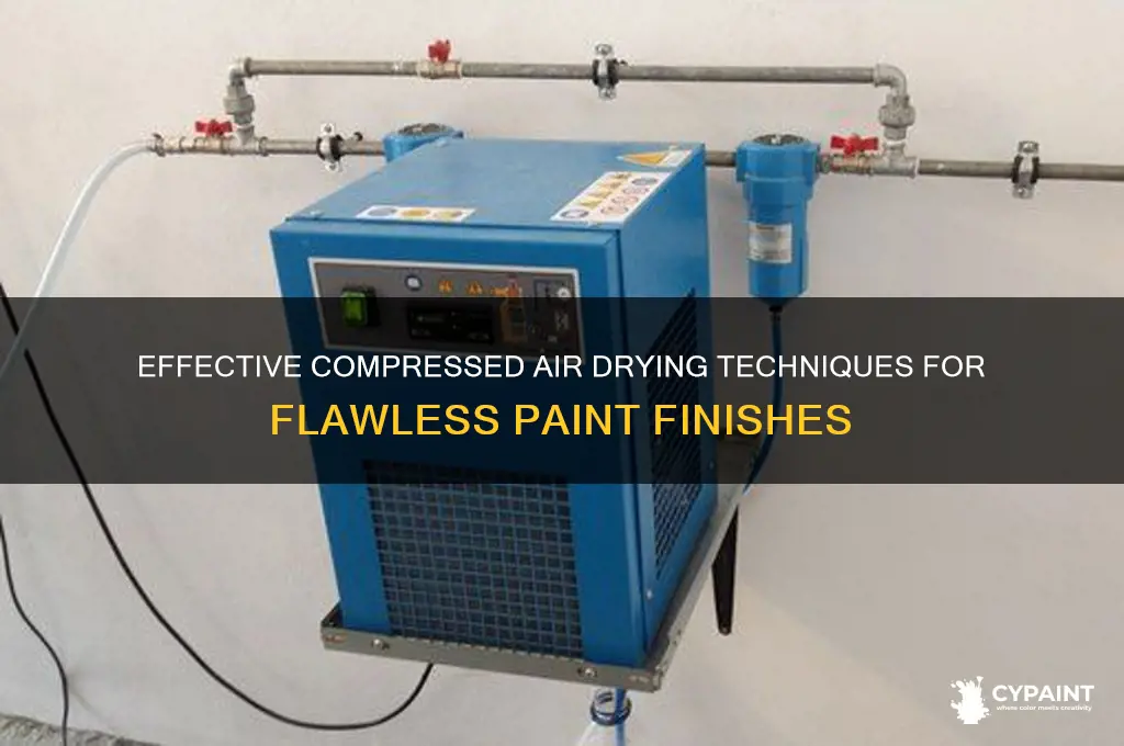 how to dry compressed air for painting