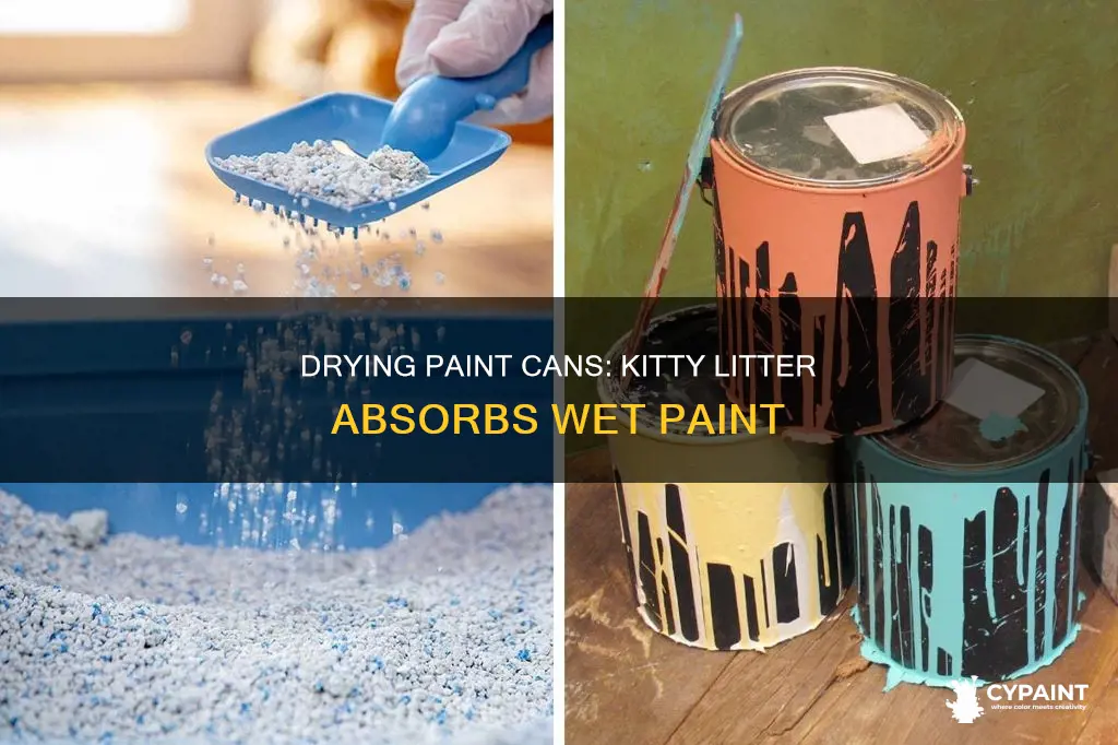 how to dry out paint cans with kitty litter