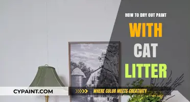 Quick Fix: Using Cat Litter to Dry Out Wet Paint Easily
