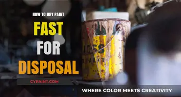 Quick Tips for Safely and Efficiently Drying Paint for Disposal
