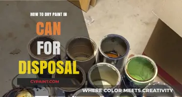 Eco-Friendly Disposal: How to Dry Paint in Cans Safely