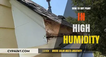 Effective Tips for Drying Paint Quickly in High Humidity Environments