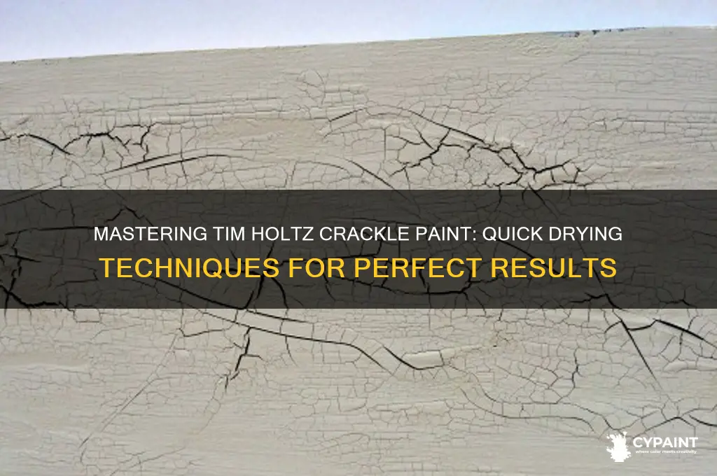 how to dry tim holtz crackle paint