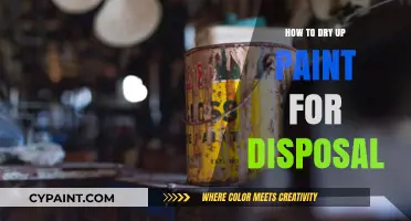 Safe Paint Disposal: Quick Tips to Dry Up Paint Properly