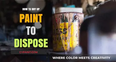 Safe Paint Disposal: Quick Tips to Dry Up Paint Properly