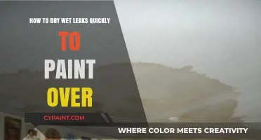 Quickly Drying Wet Leaks for Painting