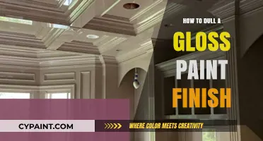 Dulling Gloss Paint: Techniques to Achieve a Matte Finish Easily