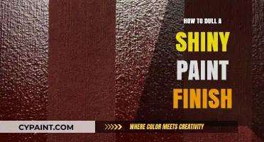 Dulling Shiny Paint: Simple Techniques for a Matte Finish