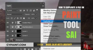 Duplicating Files in Paint Tool Sai: Easy Steps