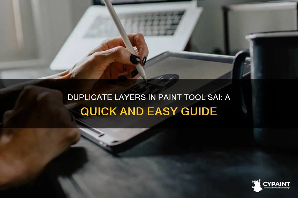 how to duplicate a layer paint tool sai