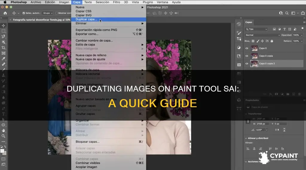 how to duplicate an image on paint tool sai