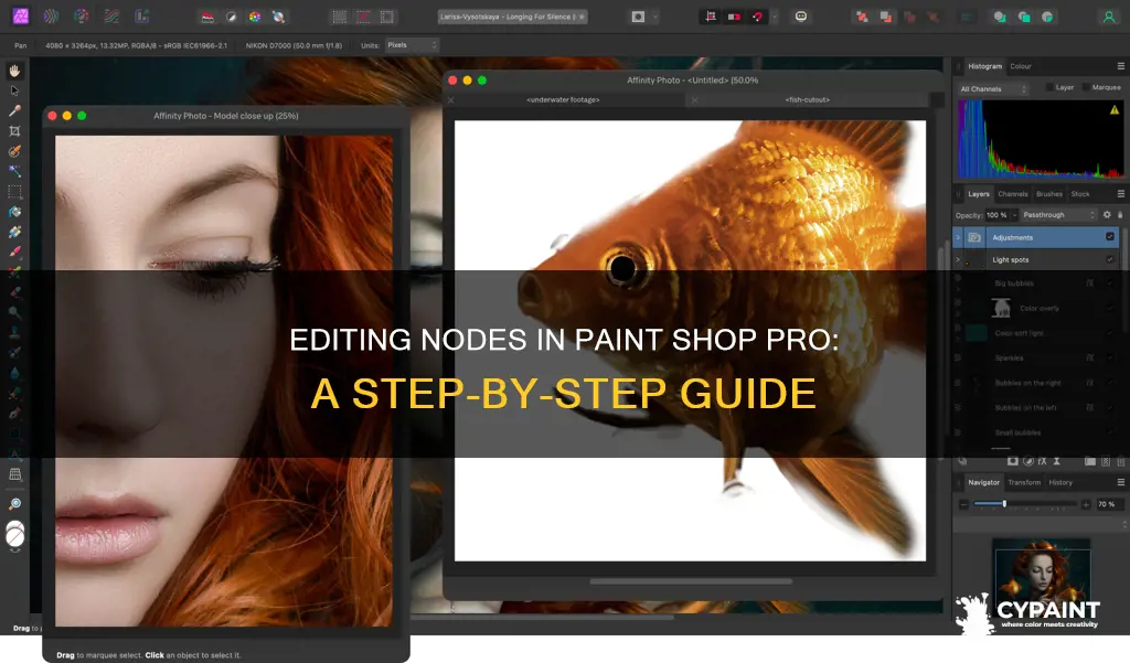how to edit a node in paint shop pro