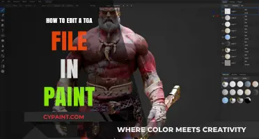 Editing TGA Files in Paint: A Step-by-Step Guide for Beginners