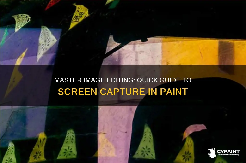how to edit an image in your screen in paint