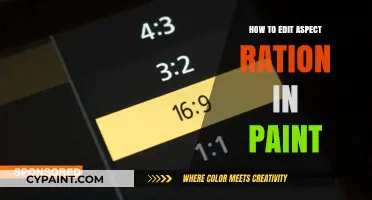Mastering Aspect Ratio Editing in Paint: A Step-by-Step Guide