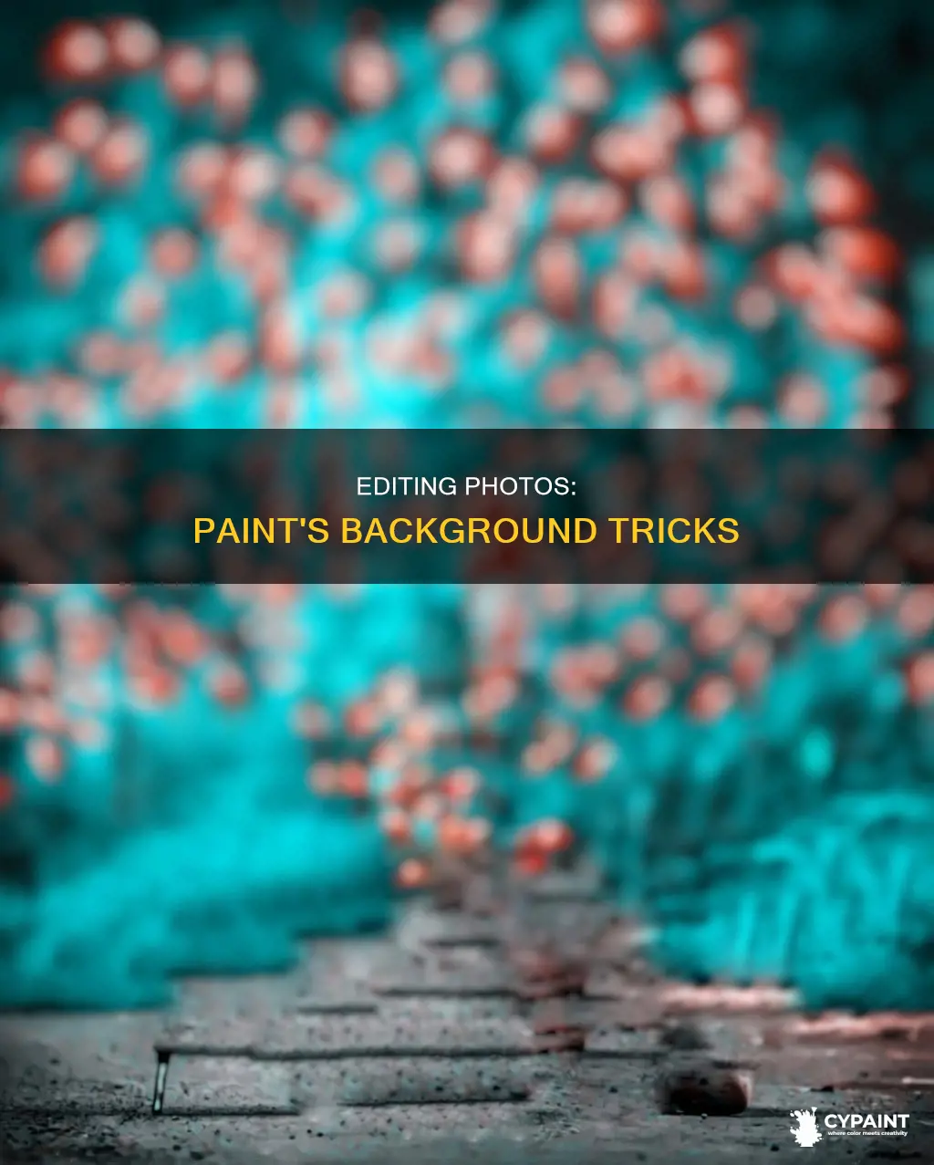 how to edit background of a photo in paint
