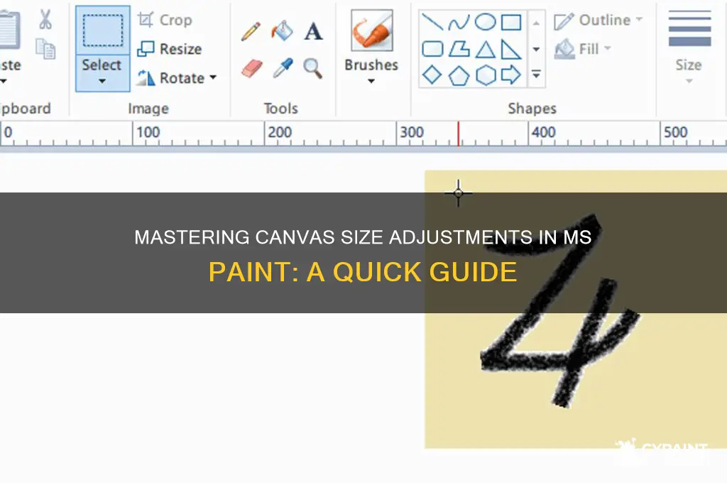 how to edit canvass size in pms paint