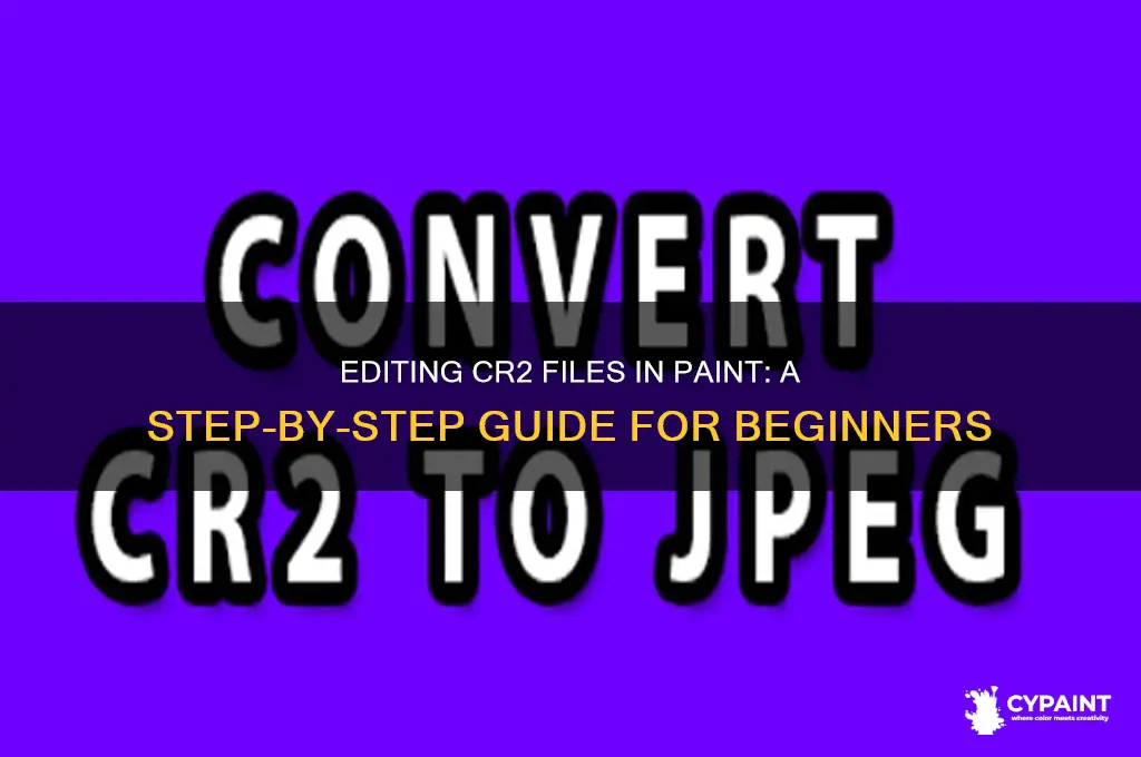 how to edit cr2 file in paint
