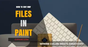 Editing EMF Files in Paint: A Step-by-Step Guide for Beginners