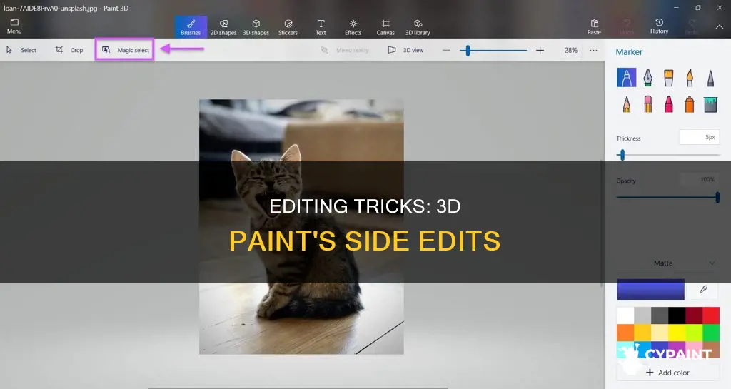 how to edit from the side in 3d paint