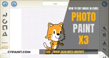 Editing Images with Corel Photo-Paint X3: A Beginner's Guide