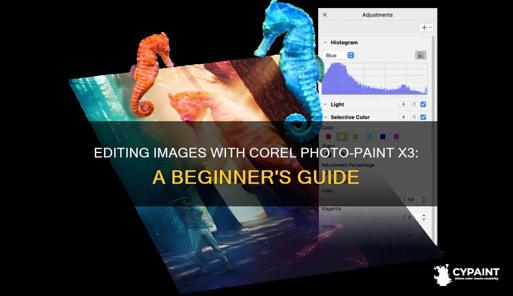 how to edit image in corel photo paint x3
