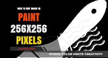 Mastering Paint: Resize & Edit Images to 256x256 Pixels Easily