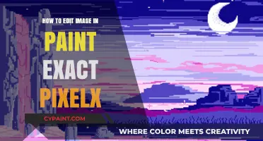 Mastering Paint: Edit Images with Exact Pixel Precision Easily